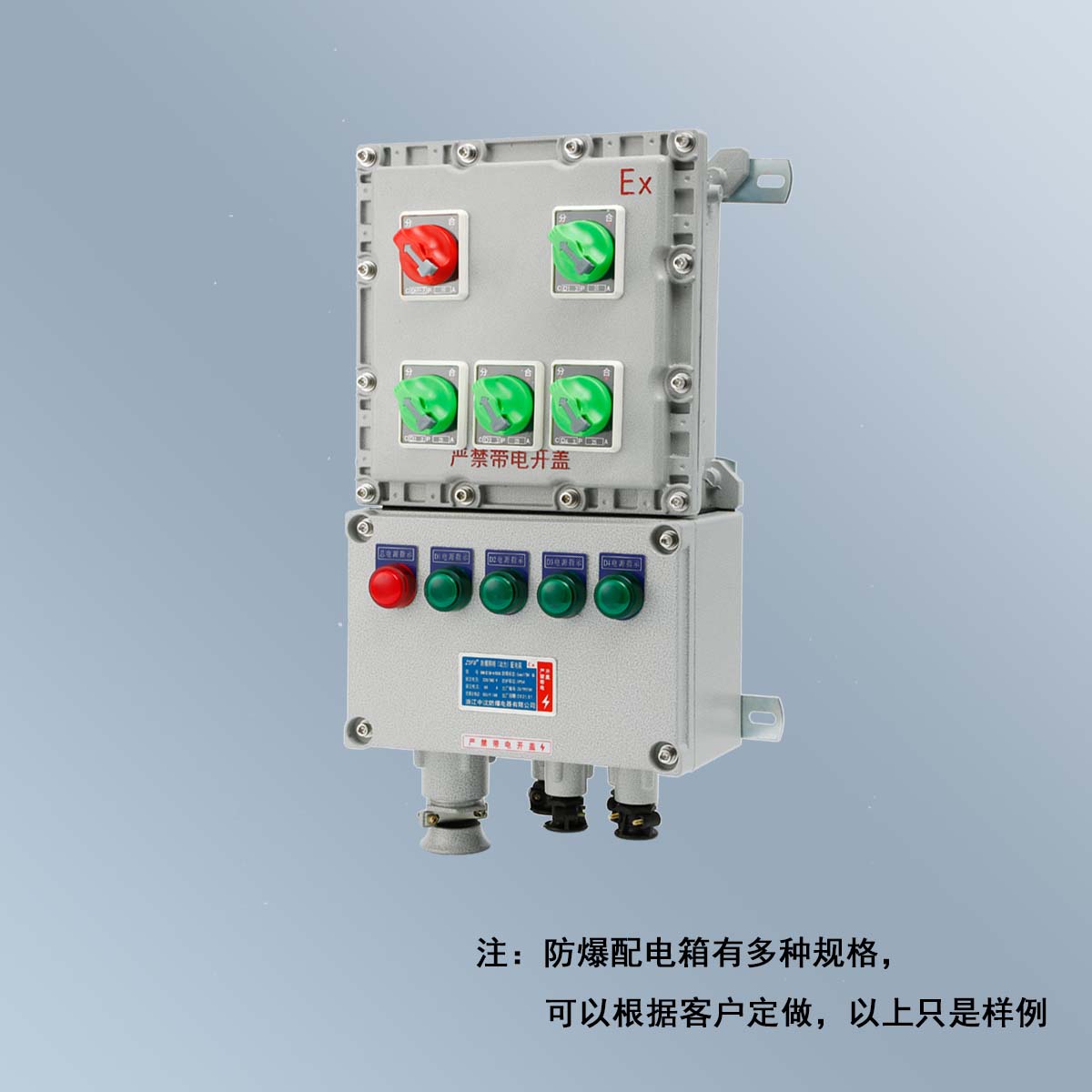 BXM(D)58 系列防爆照明(動力)配電箱 (ⅡB、ⅡC、DIP)